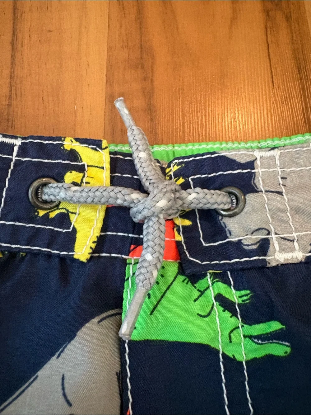 Carter’s Dinosaur Swim Trunks